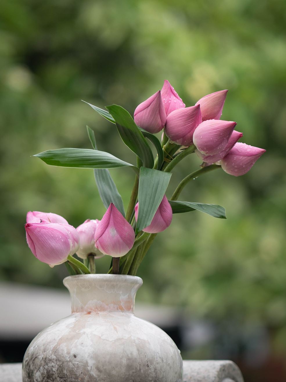 Thiên đường… hay Địa&nbsp;ngục?