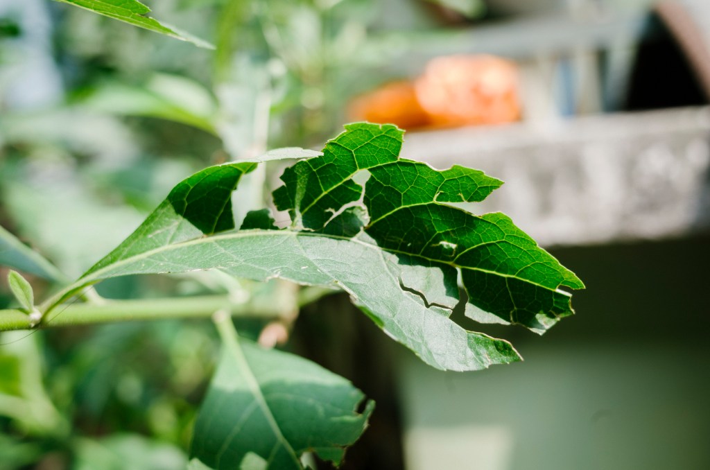 Tôi vốn bất&nbsp;nhân