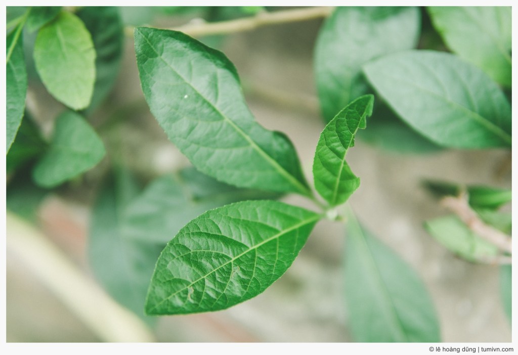 Sợ mình tụt&nbsp;hậu!