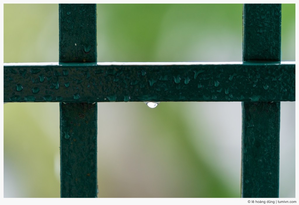 Lãng đãng một ngày&nbsp;mưa