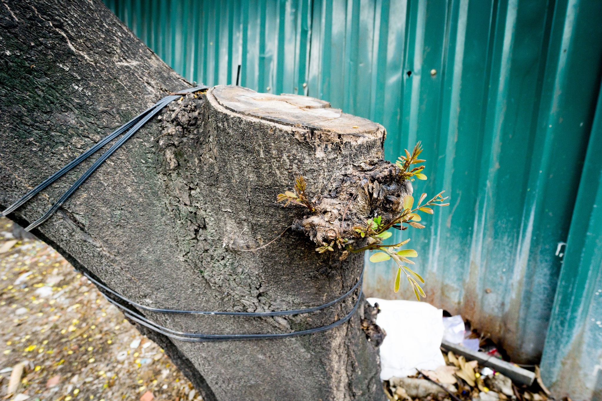 20160823-a6k-1018-test-02