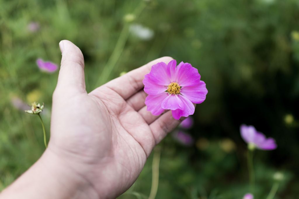 Trò chuyện với MK&nbsp;#1