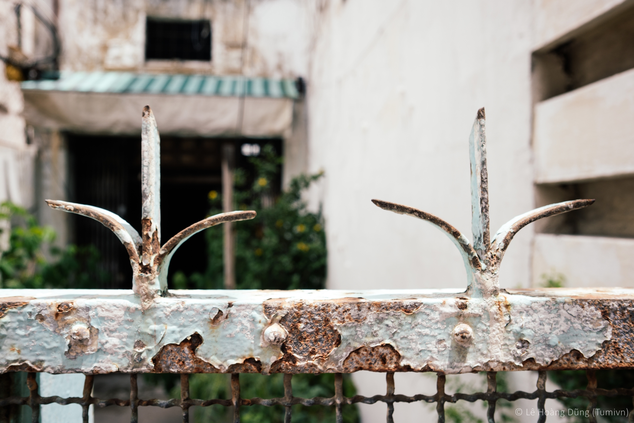 20180706-ILCE-7RM2-SAMYANG AF 24mm F2.8-test-samyang-24mm-4