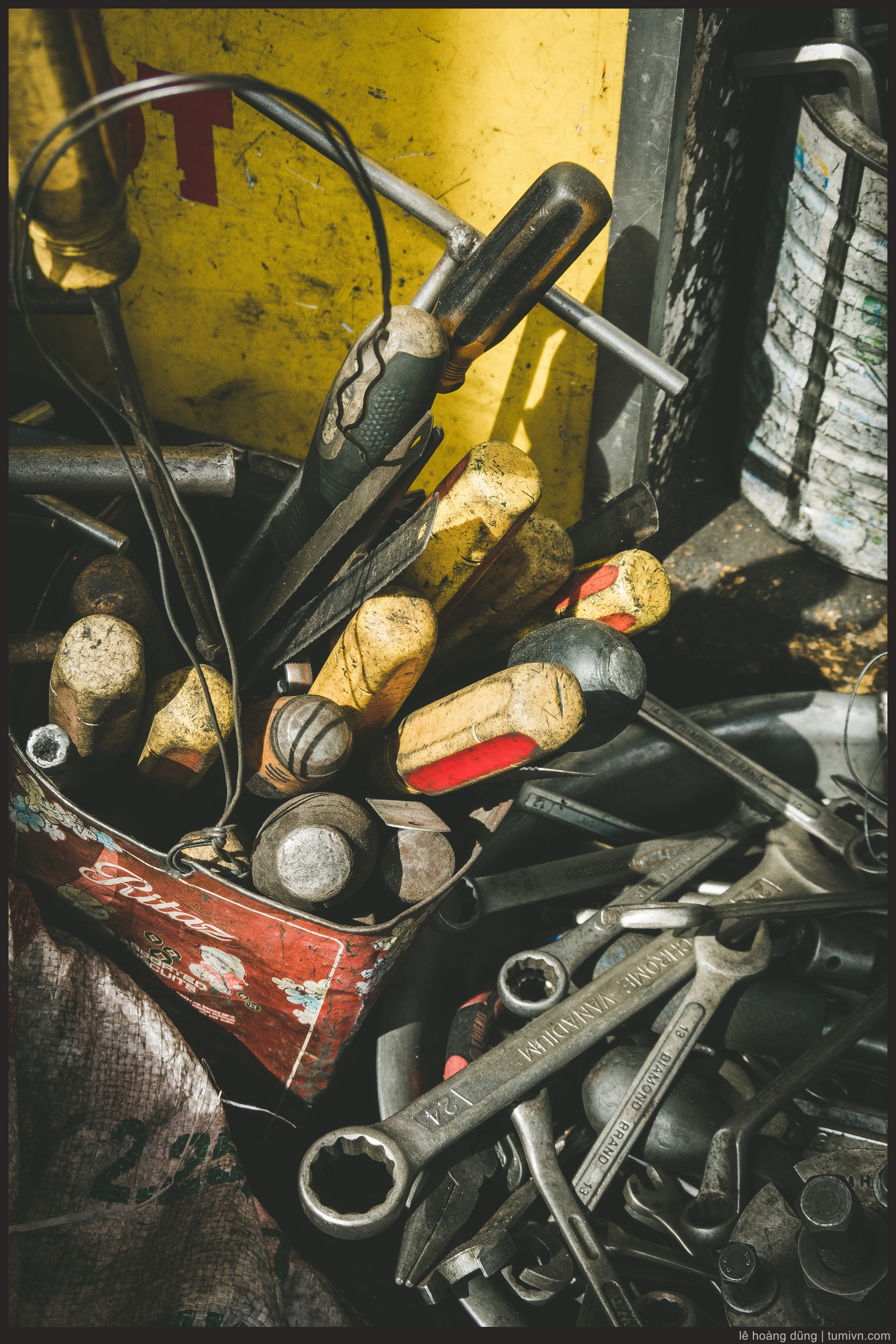 20190101-dsc-rx100m6-24-200mm f2.8-4.5-daunam-10