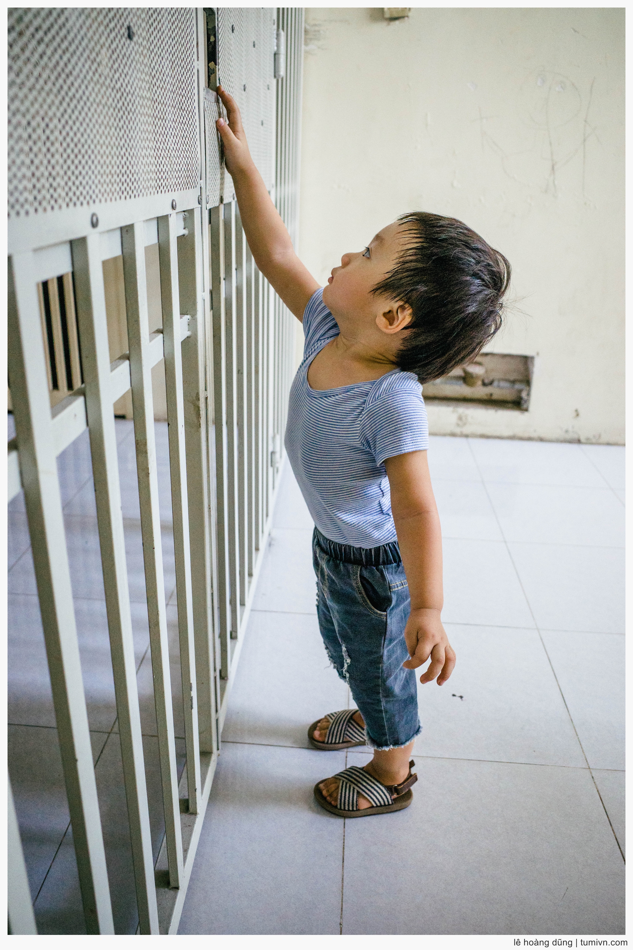 20190324-RICOH GR III--28 mm-mk-gr-04