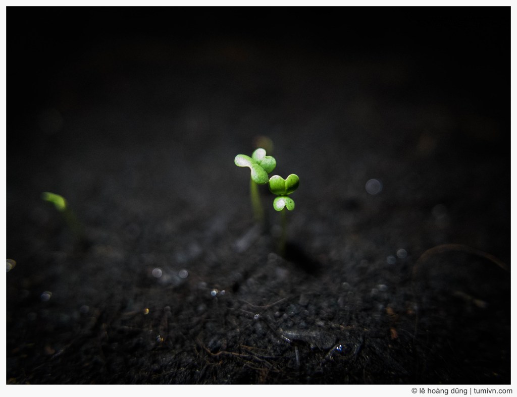 Cho yêu thương sẽ nhận được yêu&nbsp;thương