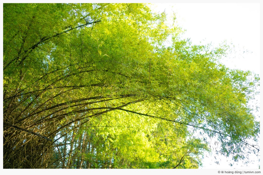 Họ may mắn, bạn thì&nbsp;không?