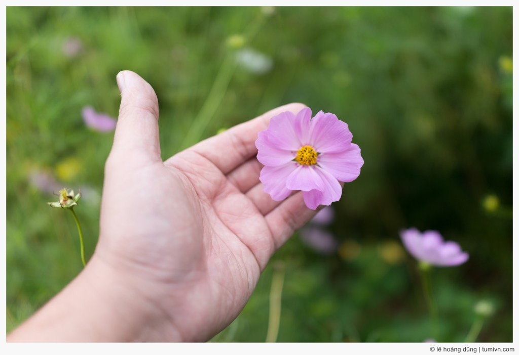 Trái tim yêu&nbsp;thương