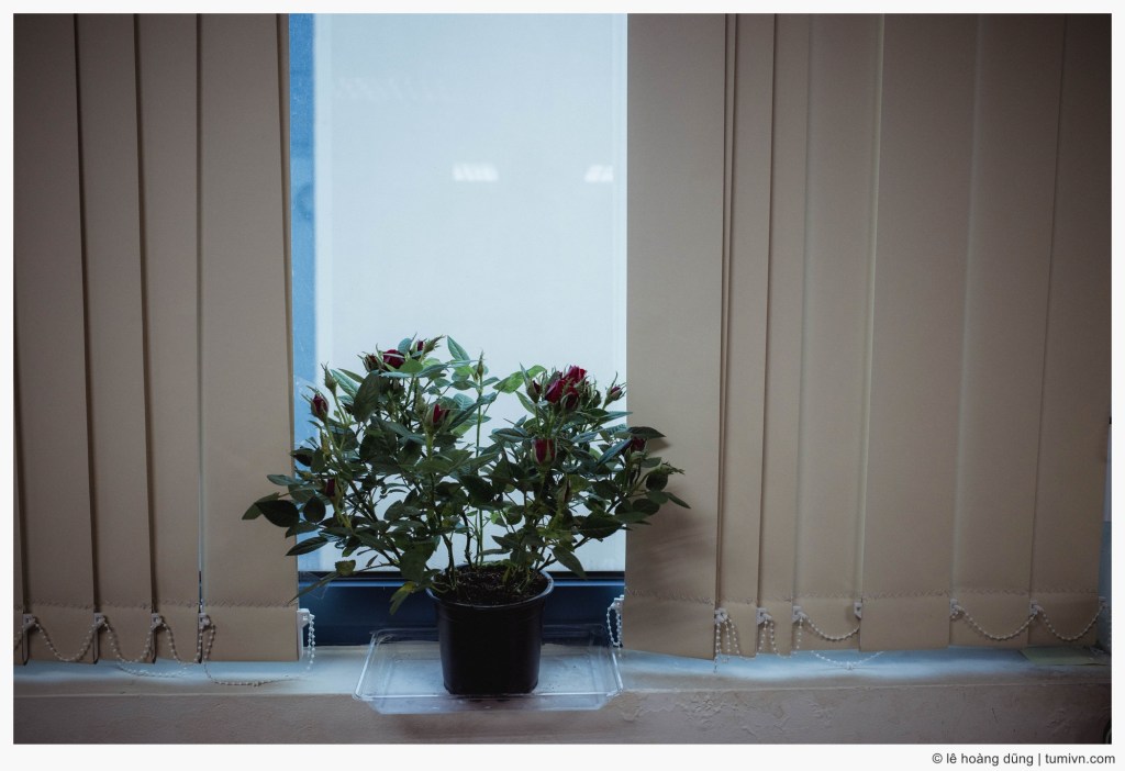 Bác tài xế Grab và chủ đề vô&nbsp;thường