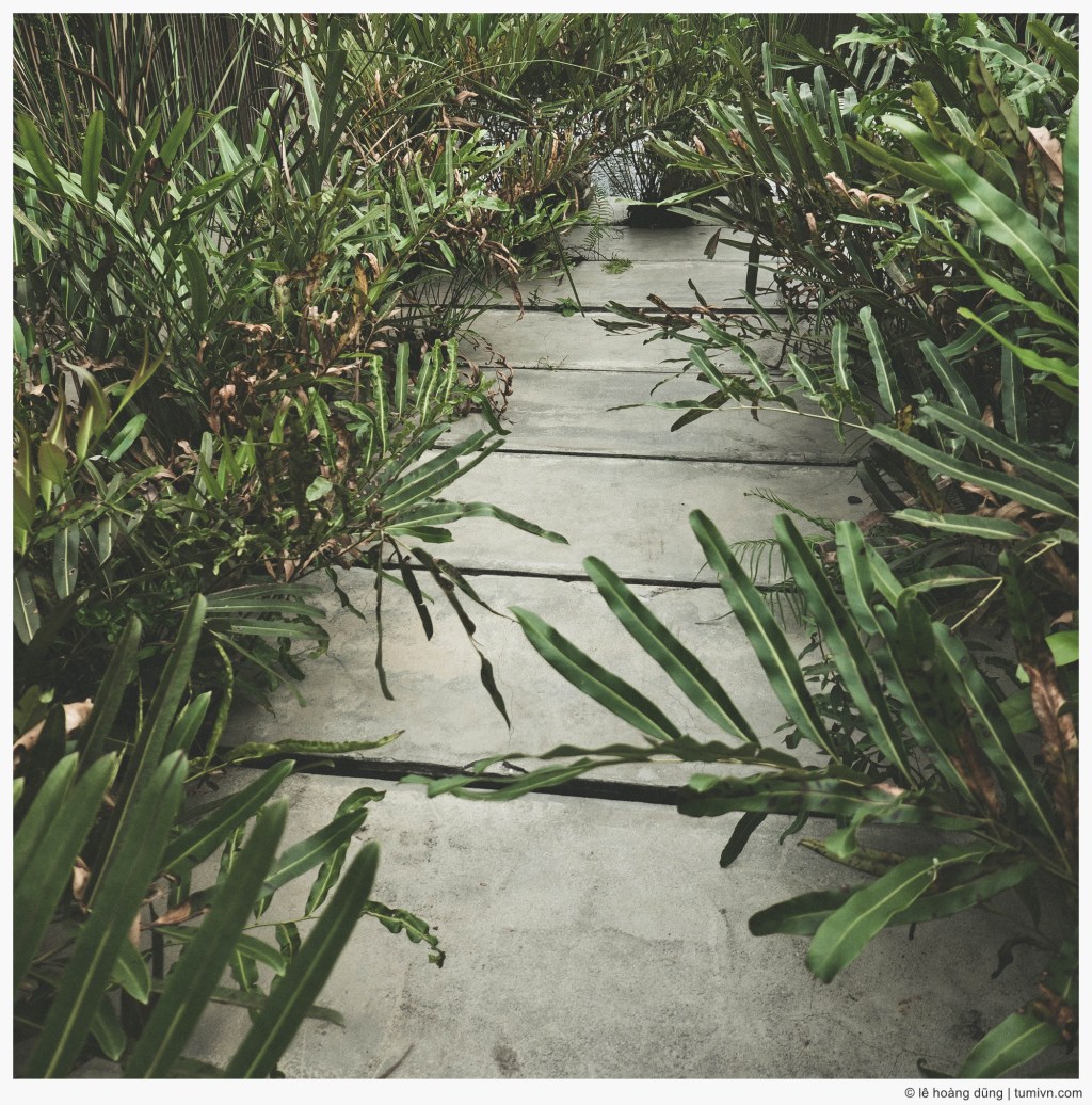 Thấu cảm nỗi đau ẩn&nbsp;giấu