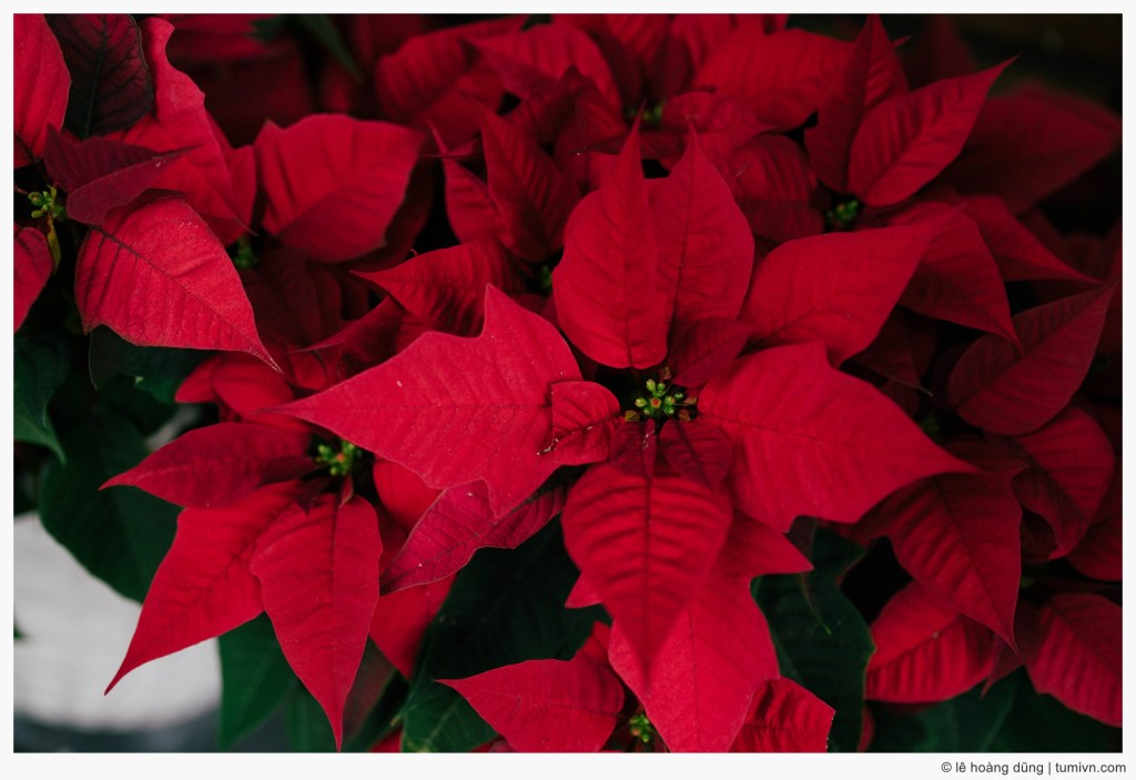 Mười một điều bạn sẽ hối hận nếu không thay đổi ngay từ bây&nbsp;giờ