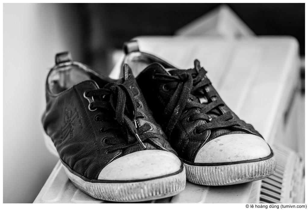 Cuộc sống ngắn ngủi đến giật&nbsp;mình