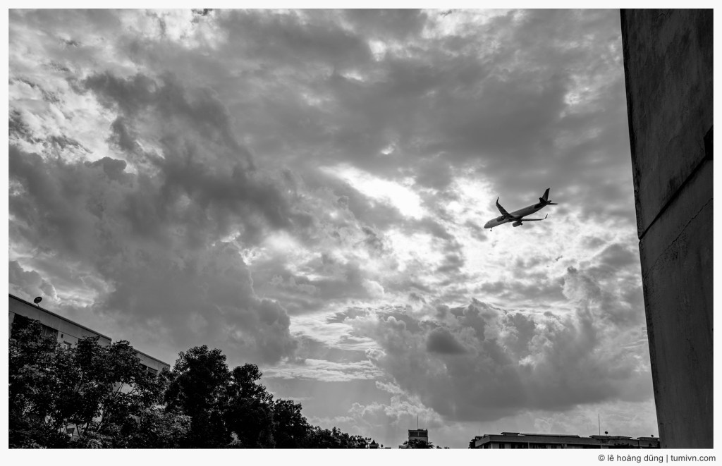 Con Đại bàng&nbsp;Gà