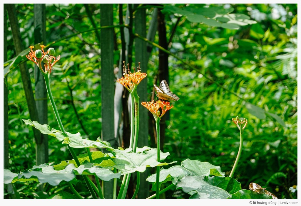 Tất cả chỉ mới là sự khởi&nbsp;đầu