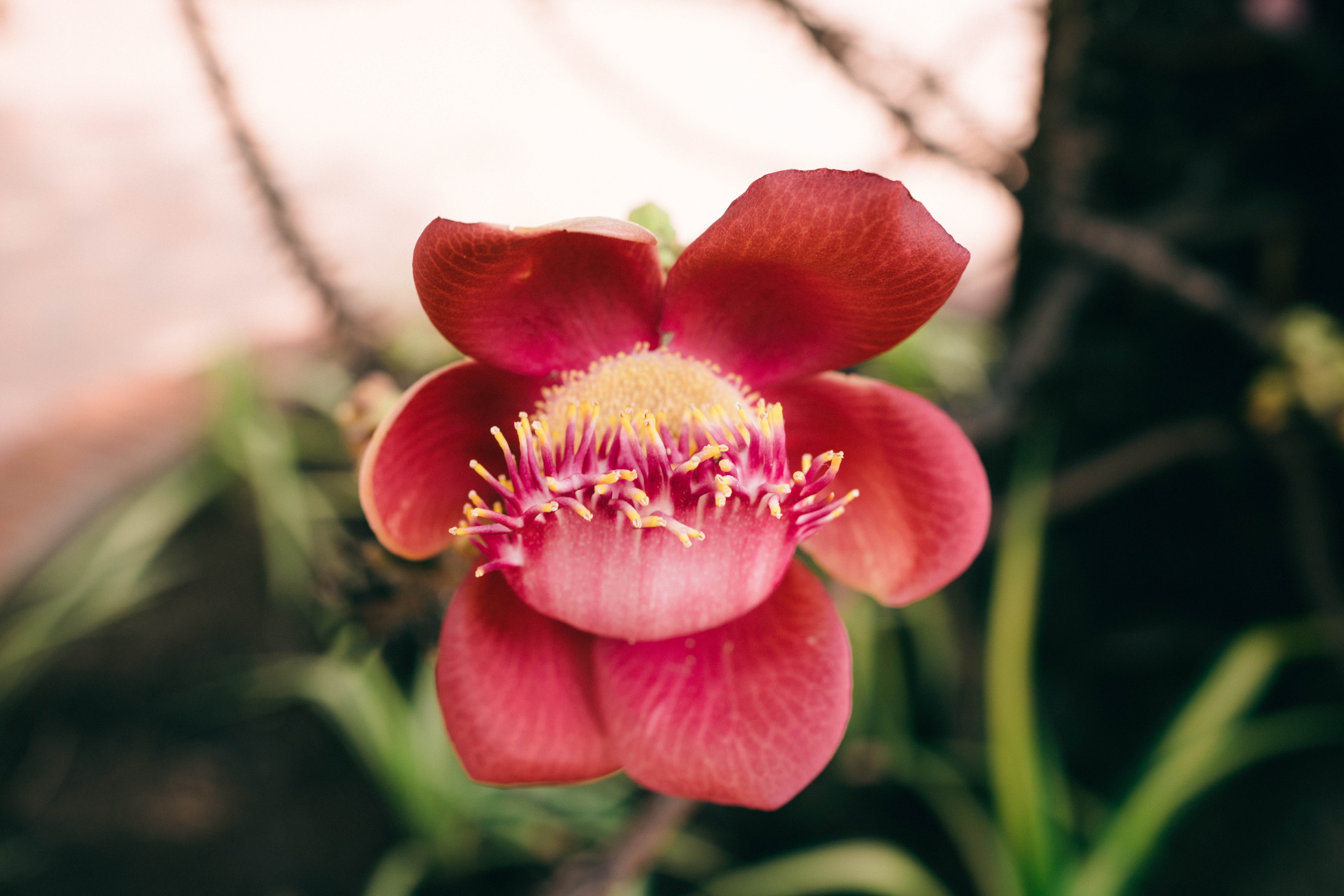 20190831-for-review-ILCE-7RM3-FE 35mm F1.8-35 mm-015