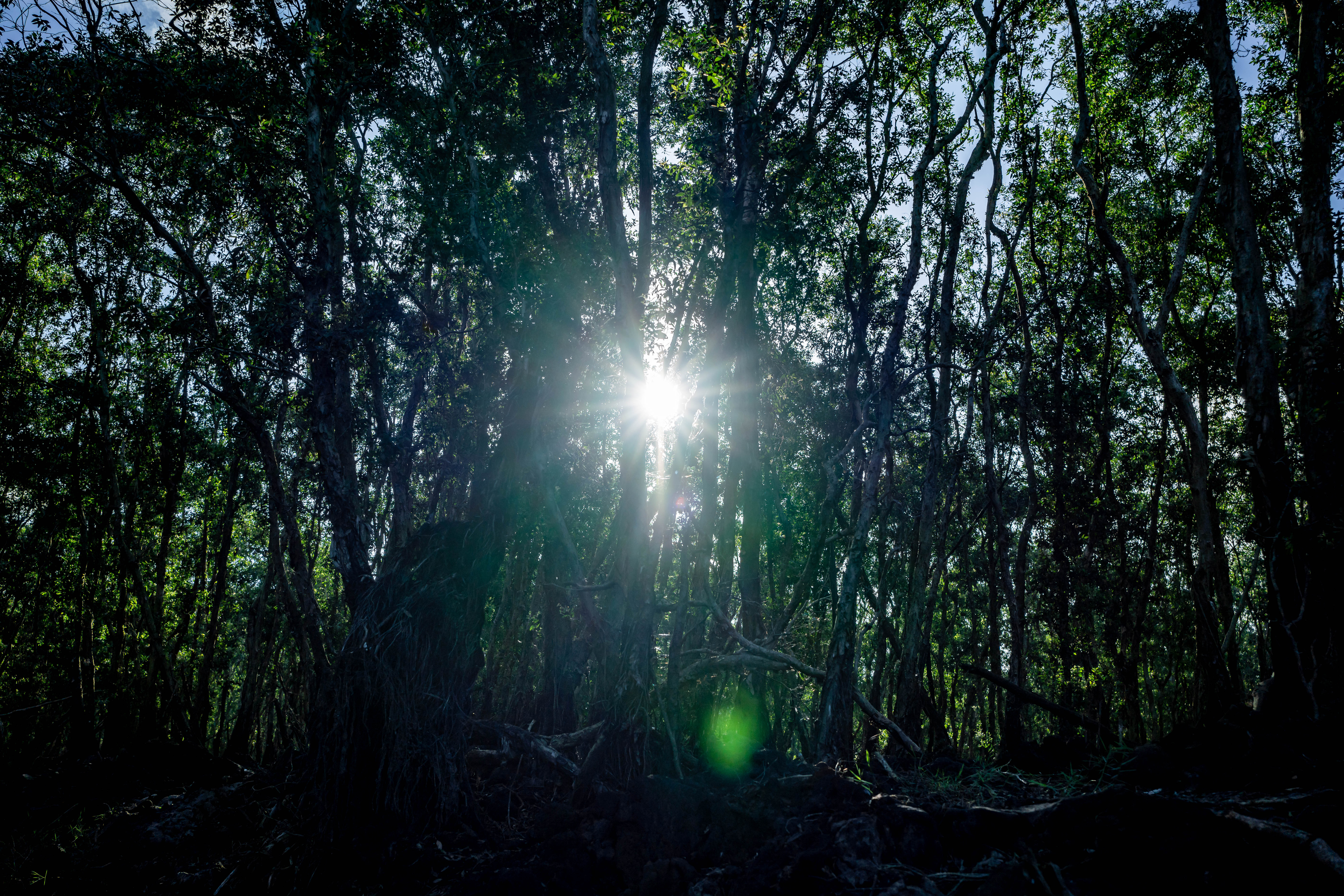 20190831-for-review-ILCE-7RM3-FE 35mm F1.8-35 mm-026