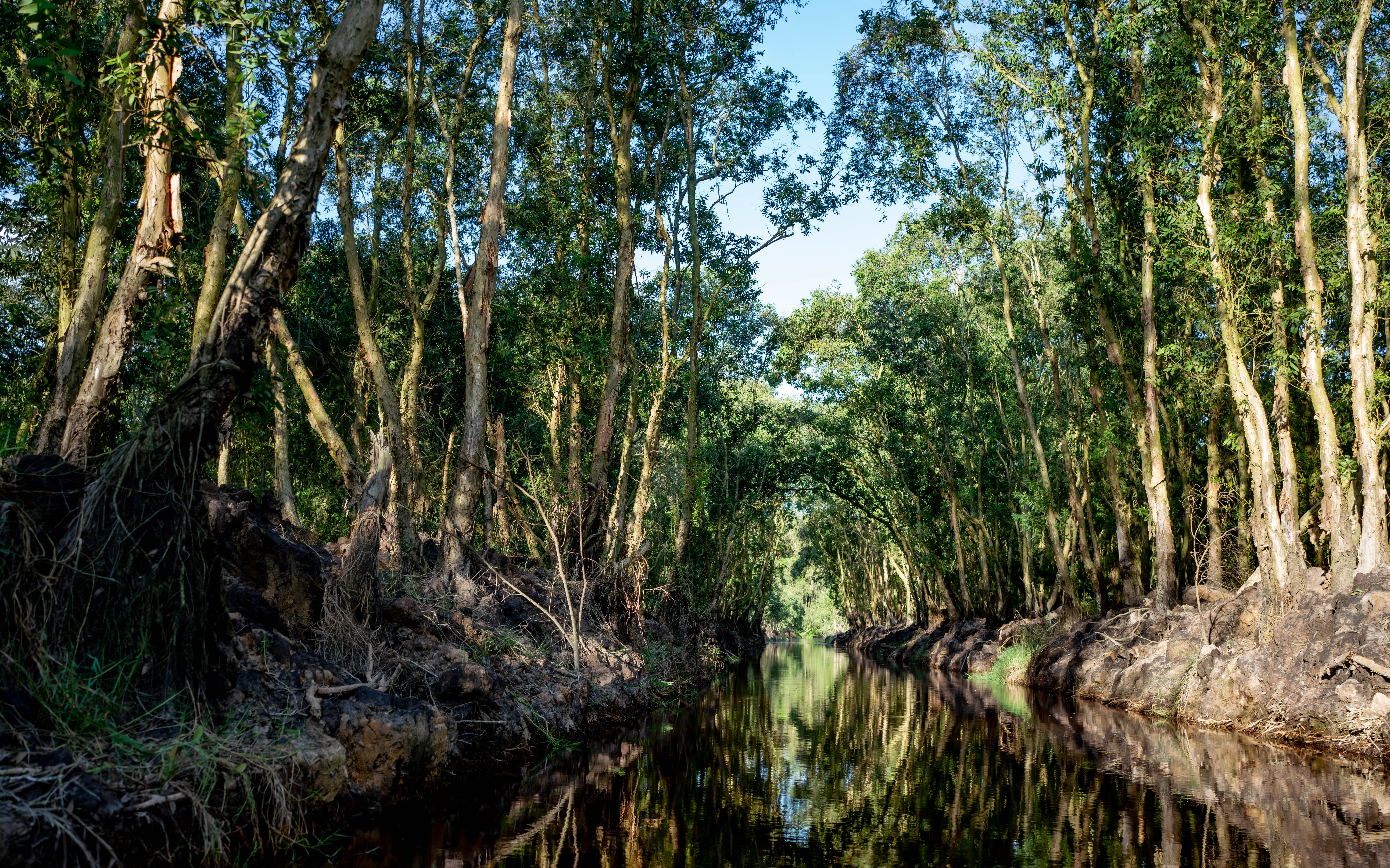 20190831-for-review-ILCE-7RM3-FE 35mm F1.8-35 mm-027