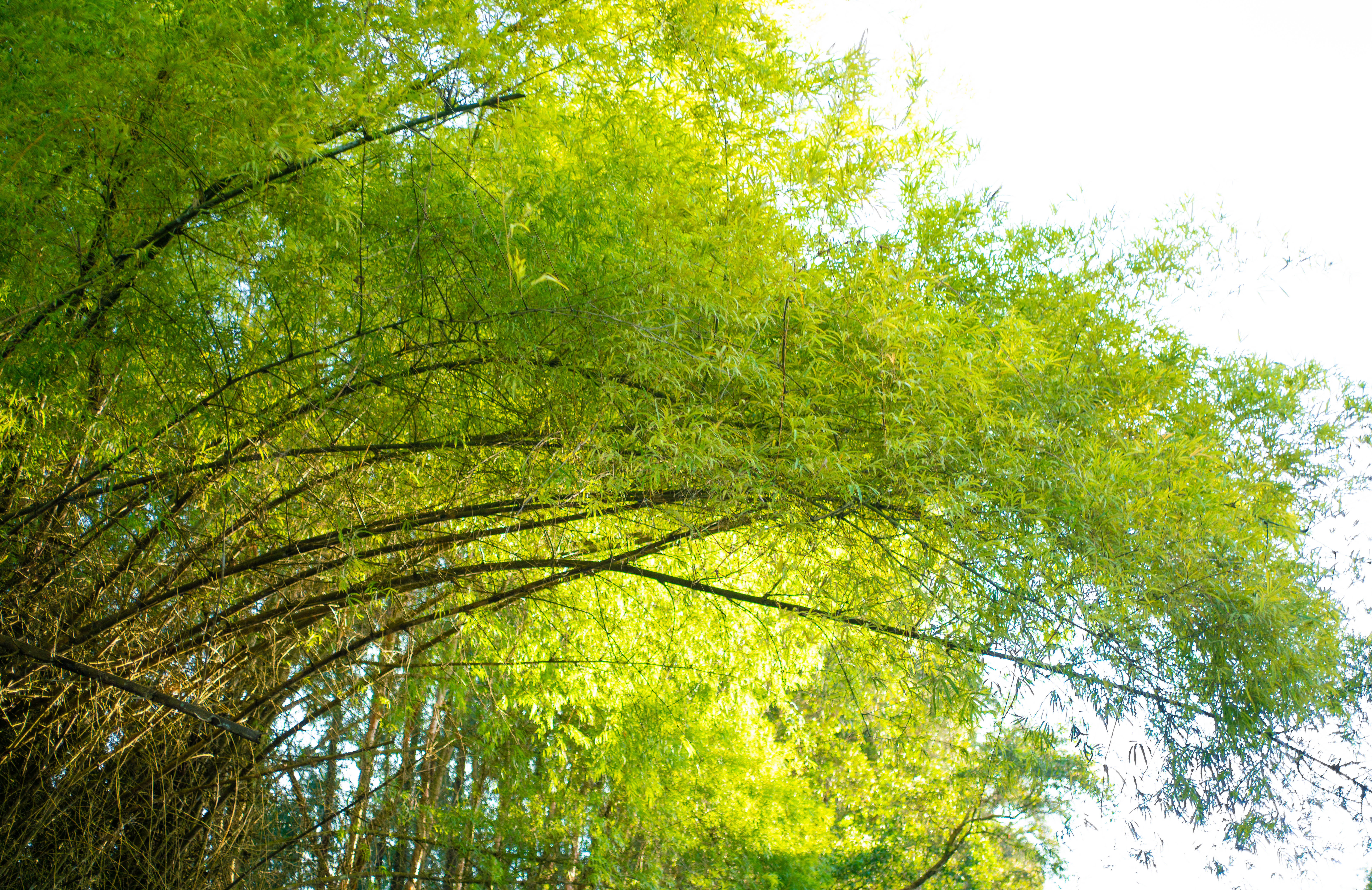 20190831-for-review-ILCE-7RM3-FE 35mm F1.8-35 mm-029