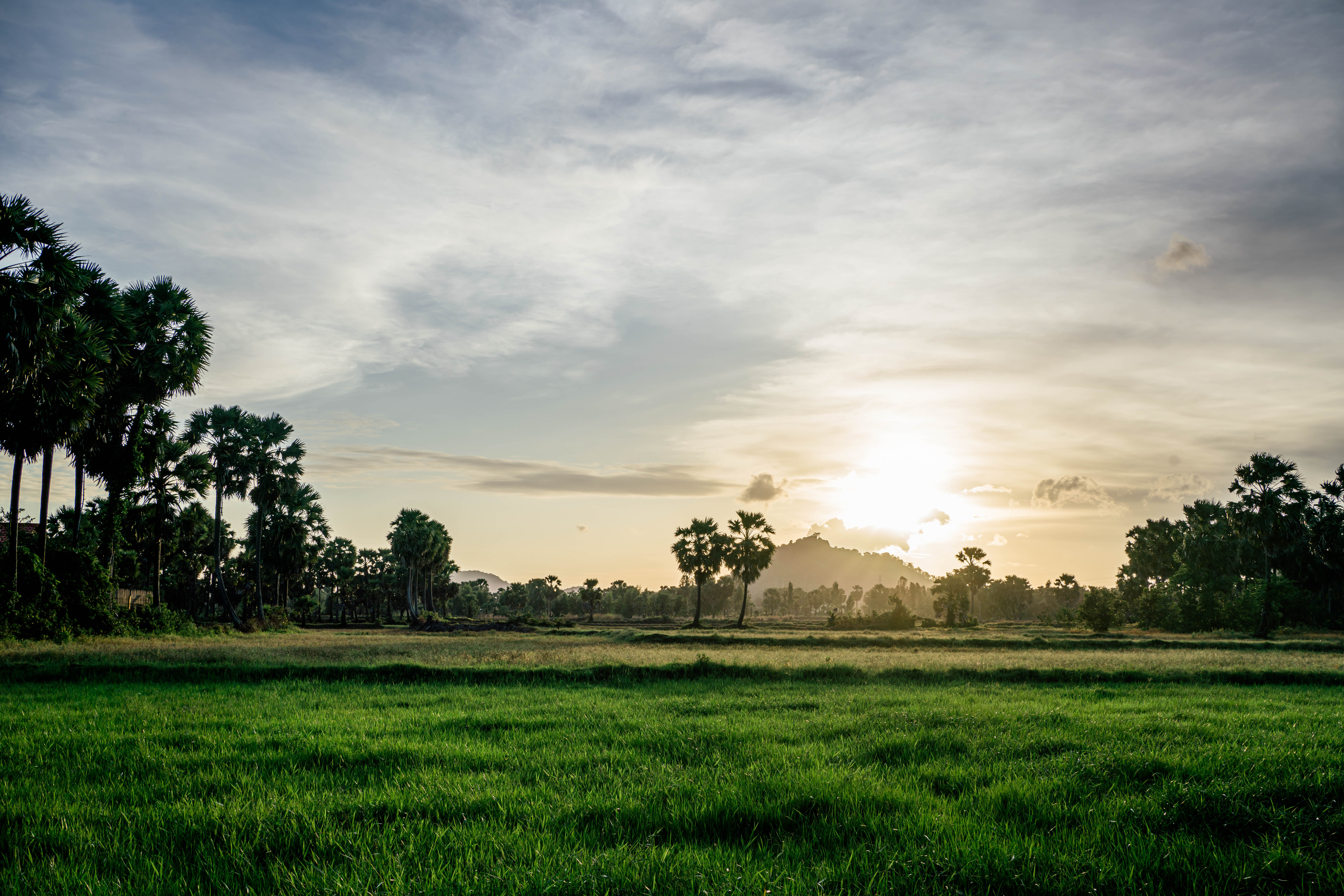 20190831-for-review-ILCE-7RM3-FE 35mm F1.8-35 mm-030