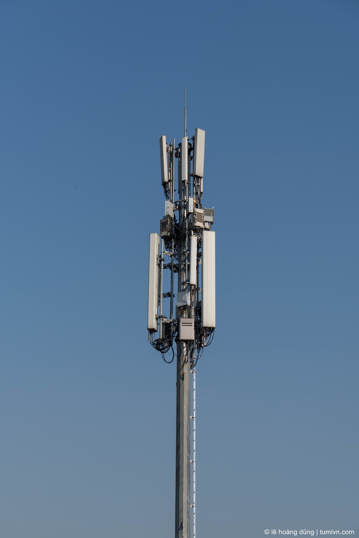 20200227-forreview-02-82 mm-ILCE-6600-E 16-55mm F2.8 G--008