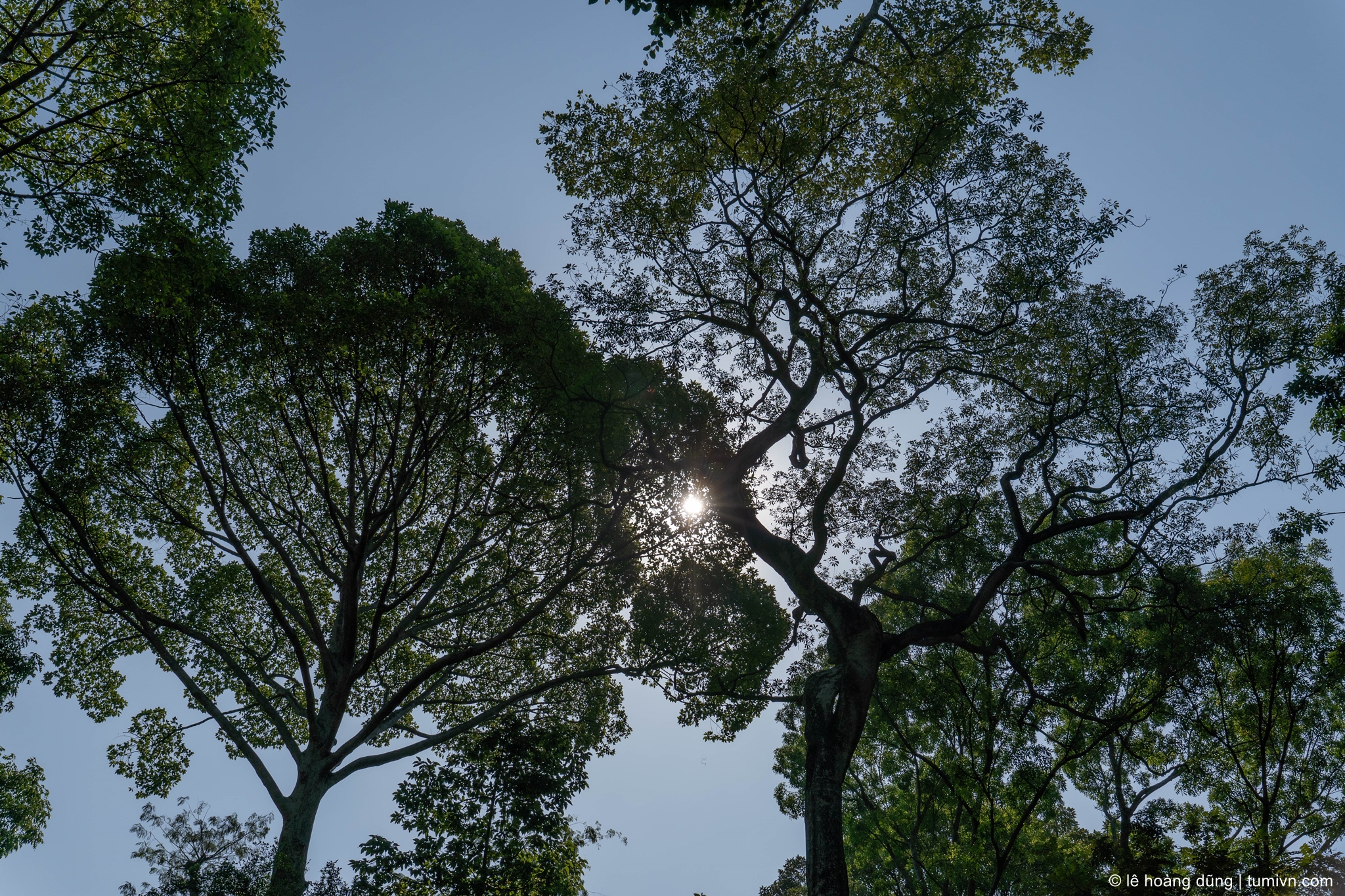 20200229-forreview-30 mm-ILCE-6600-E 16-55mm F2.8 G--008