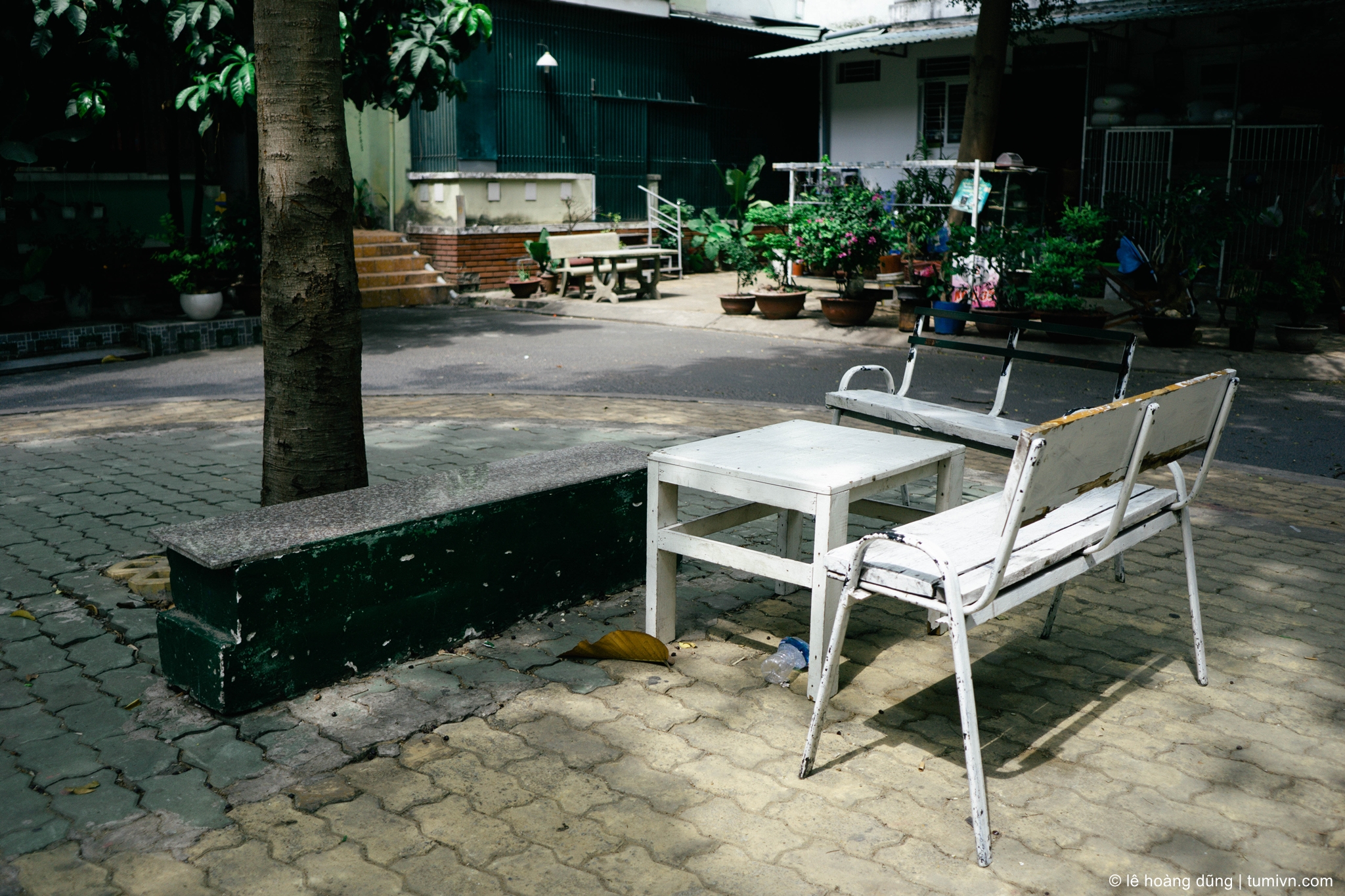 20200402-mk-30 mm-ILCE-6000-E 20mm F2.8--031