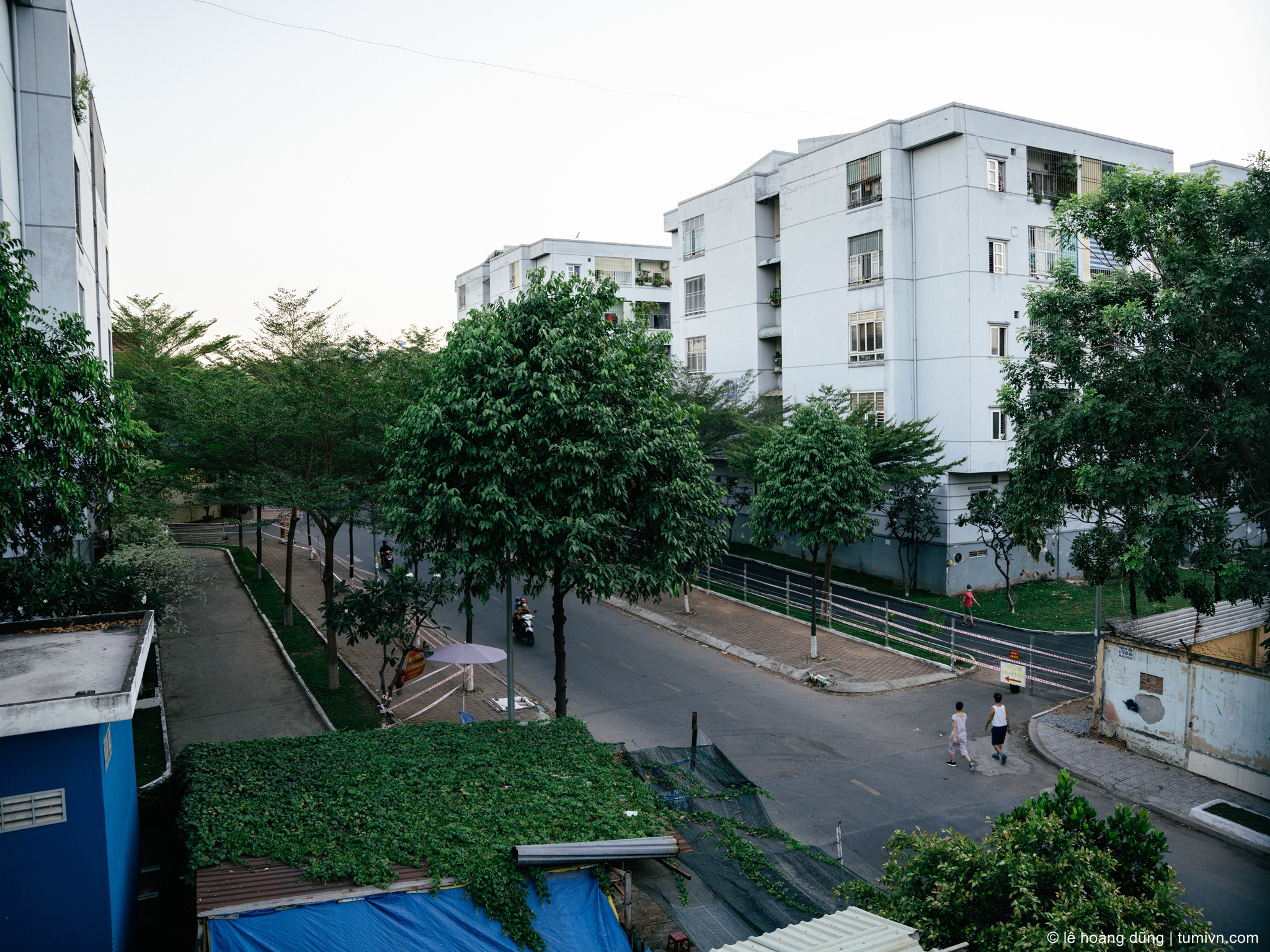 20200402-others-24 mm-ILCE-7RM4-24-70mm F2.8 DG DN - Art 019--014