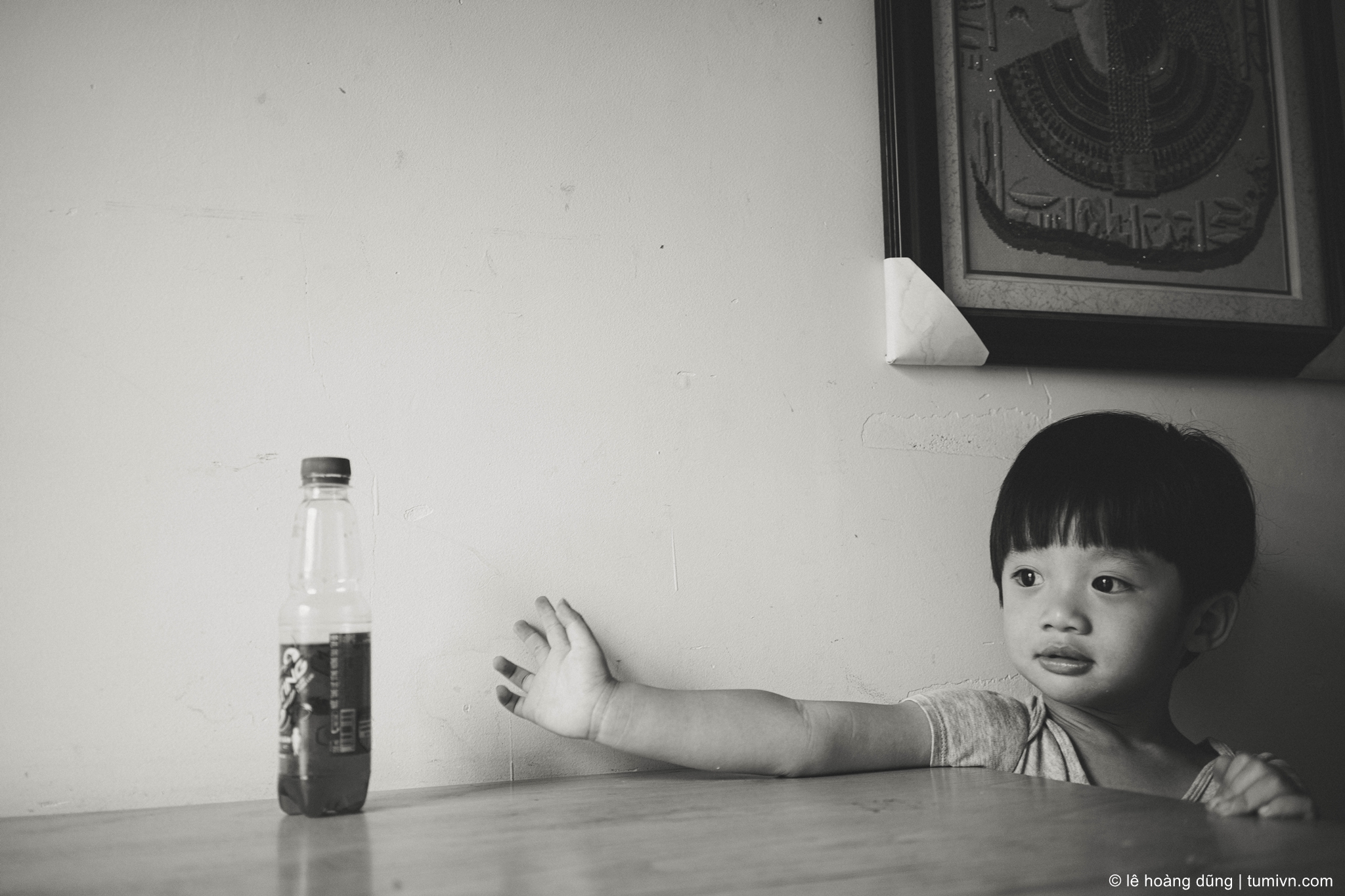 20200406-mk-35 mm-ILCE-7RM4-SAMYANG AF 35mm F2.8--033