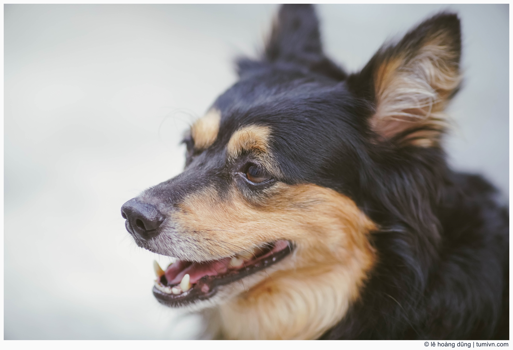 20200410-others-135 mm-ILCE-7M3-EF135mm f-2 L--013