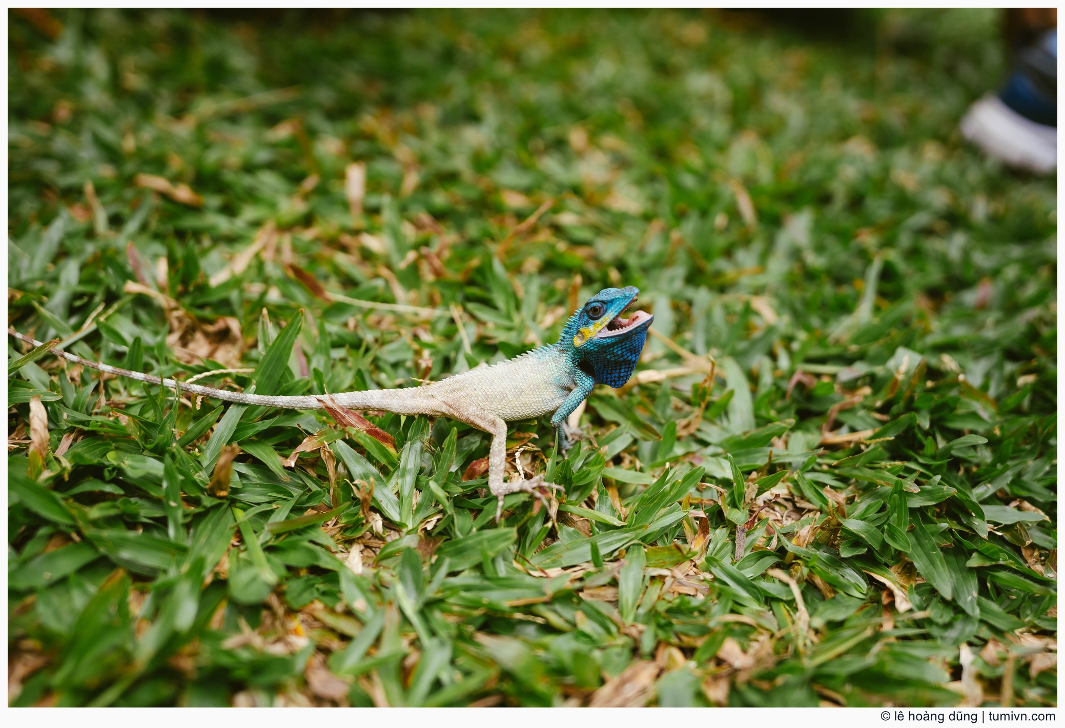 20200411-others-30 mm-ILCE-7M3-FE 20mm F1.8 G--013