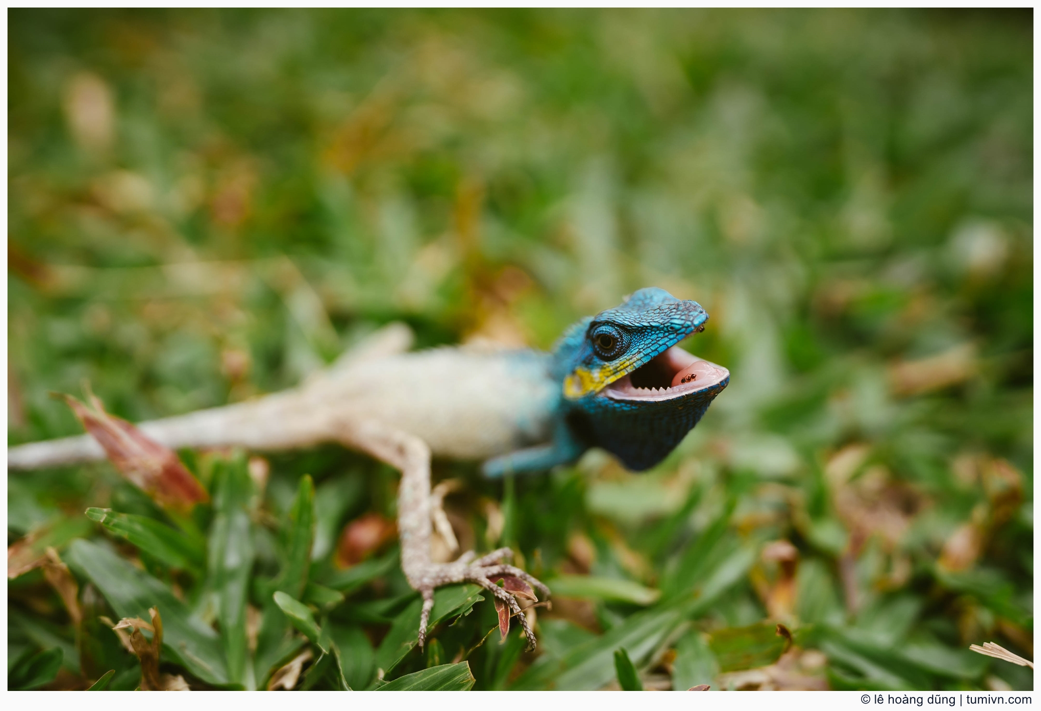 20200411-others-30 mm-ILCE-7M3-FE 20mm F1.8 G--015