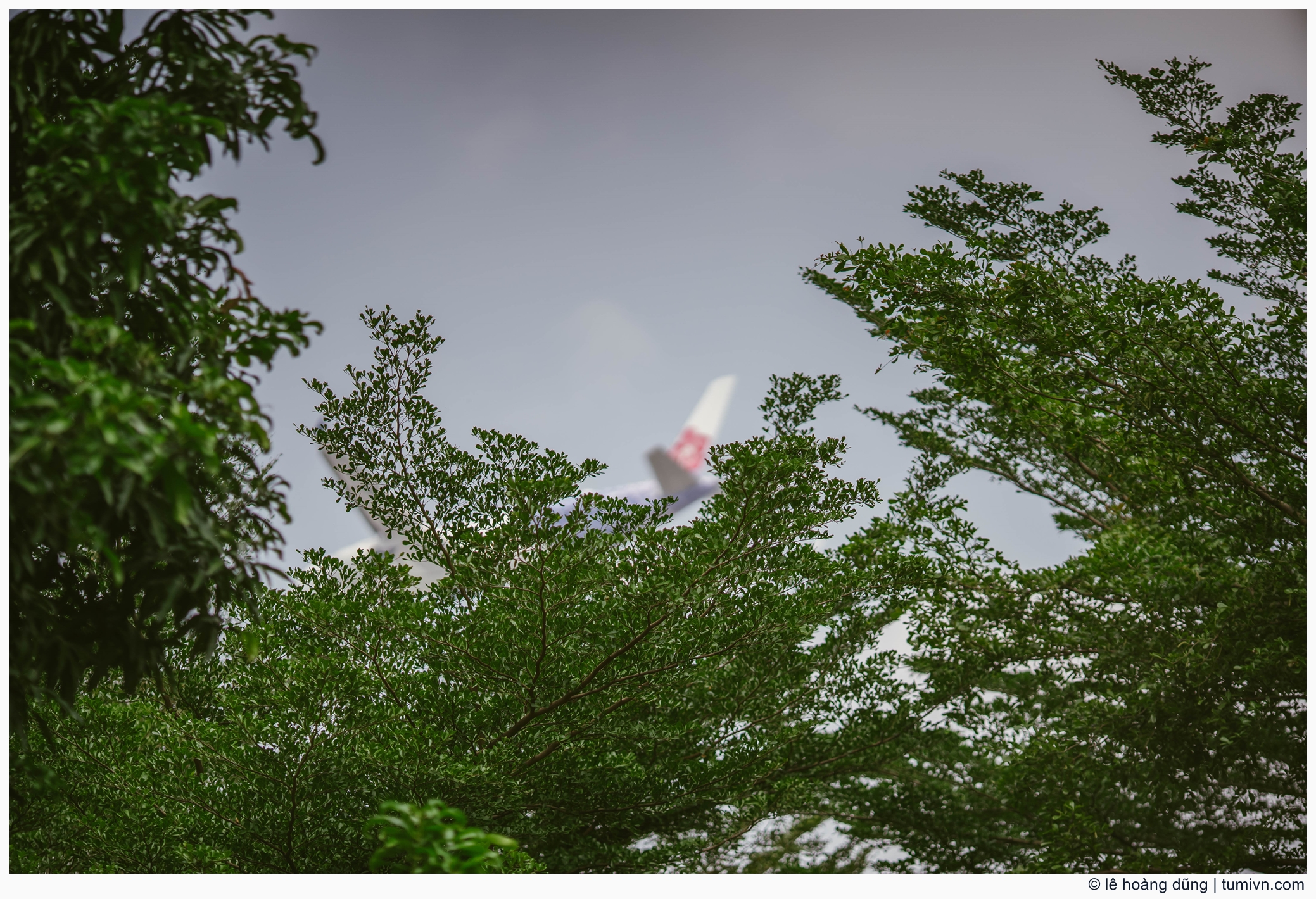 20200412-others-135 mm-ILCE-7M3-EF135mm f-2 L--003