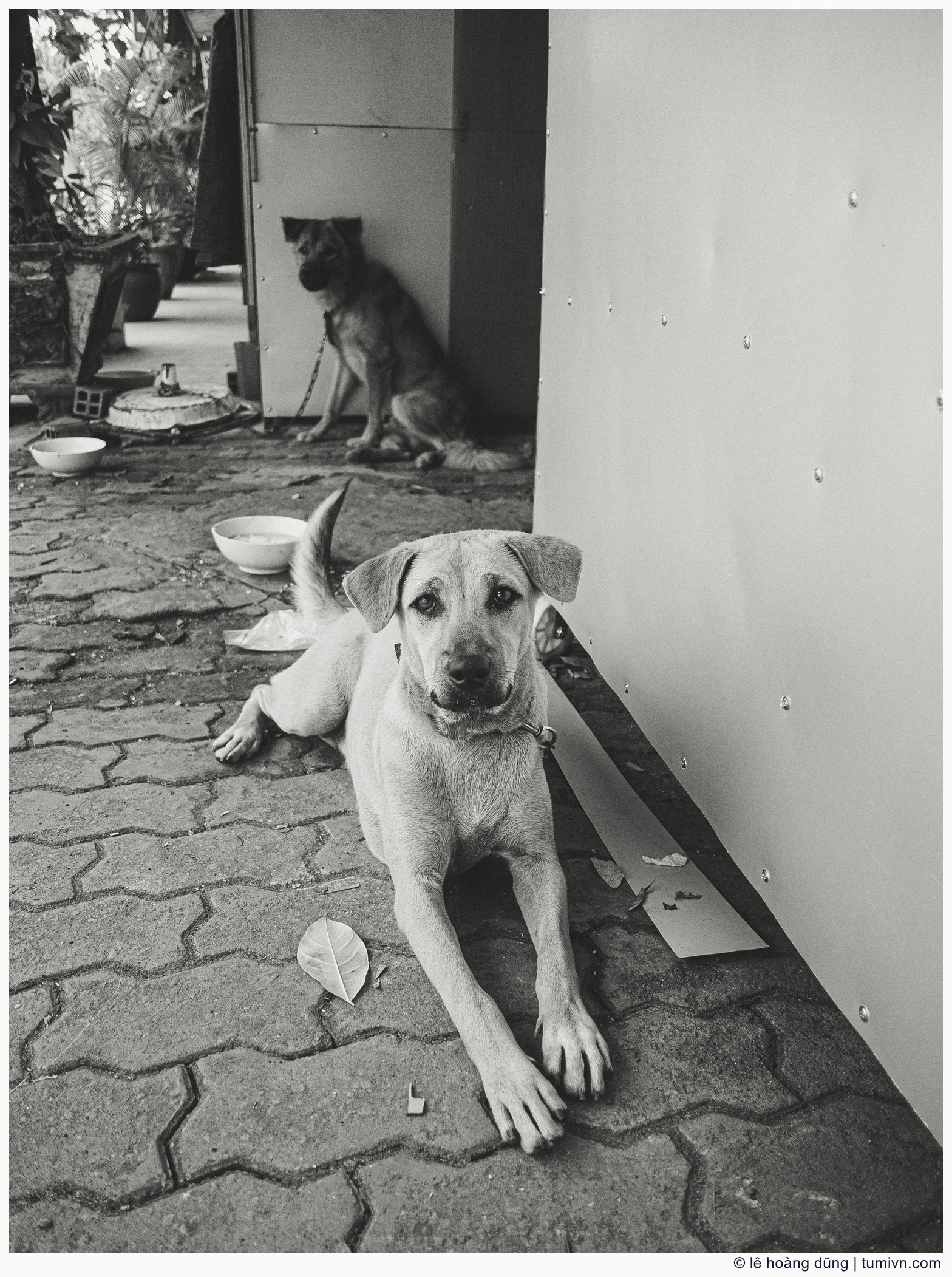 20200412-others-28 mm-DC-GF9-LUMIX G 14-F2.5--030