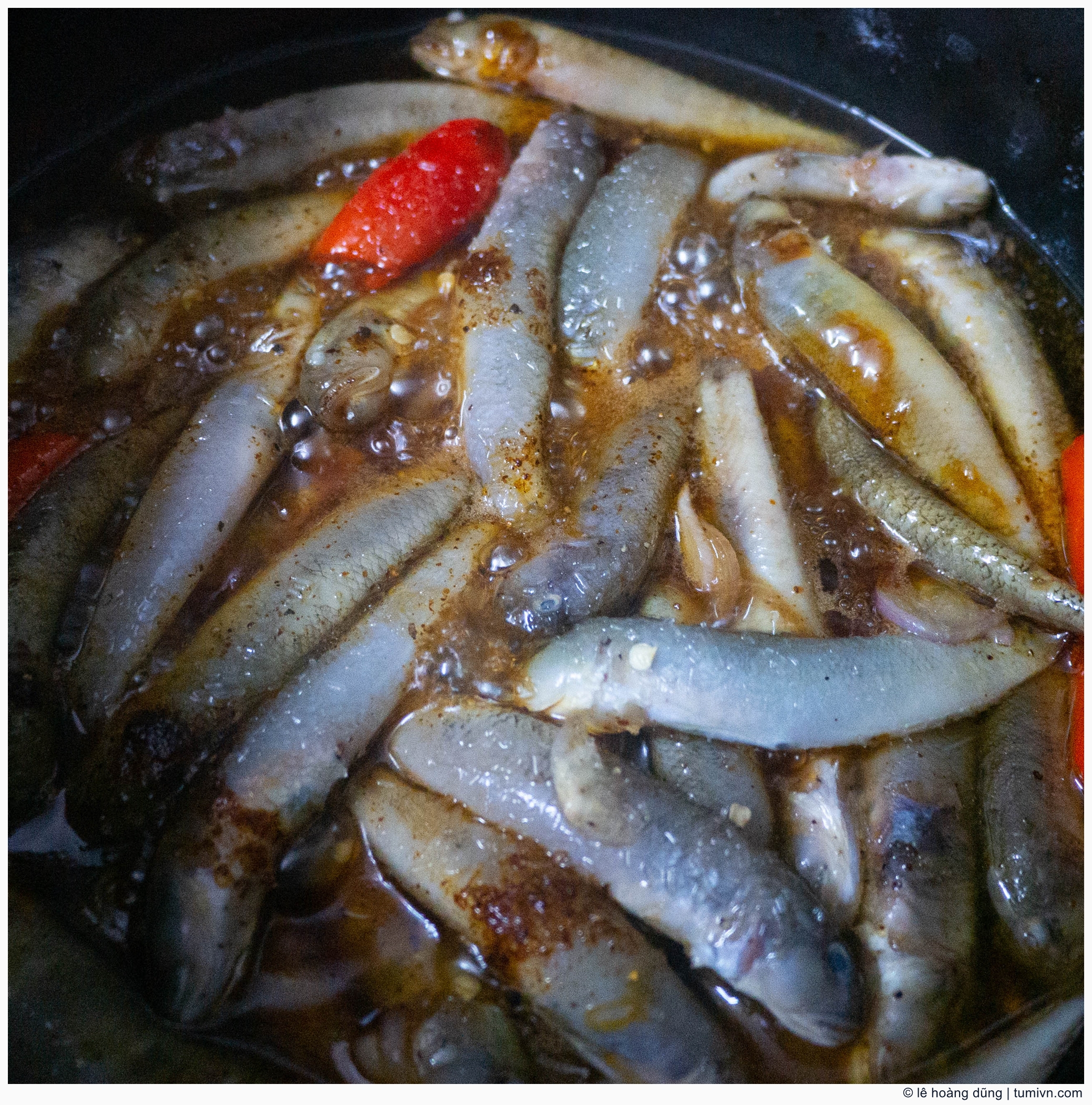 20200414-others-28 mm-DC-GF9-LUMIX G 14-F2.5--005