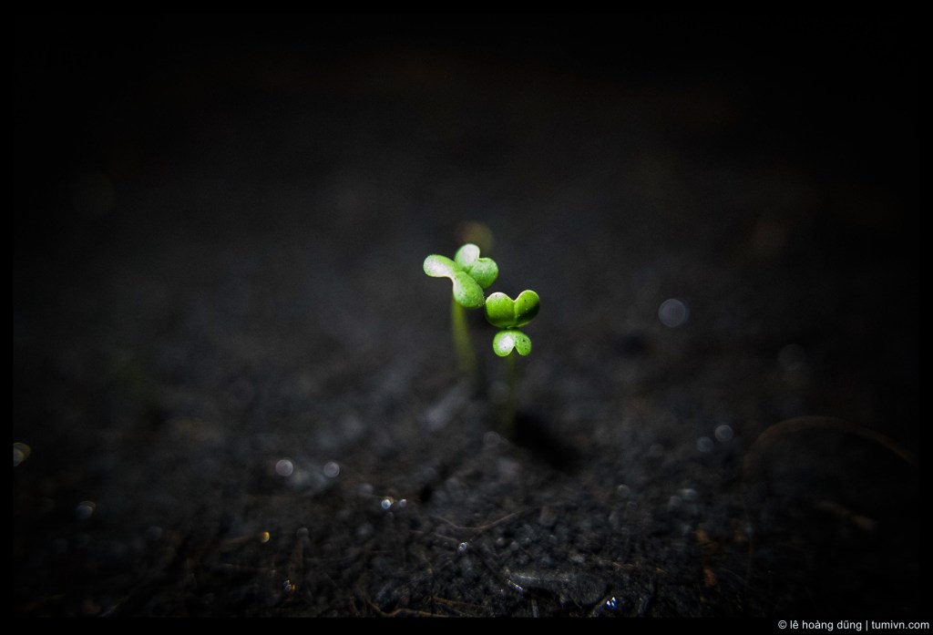 Tôi đã Thực sự thay đổi khi gần sang độ tuổi trung&nbsp;niên