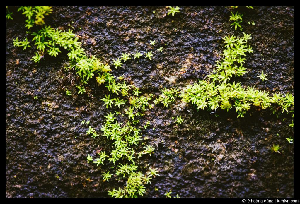 Tản mạn một buổi sáng mùa&nbsp;đông