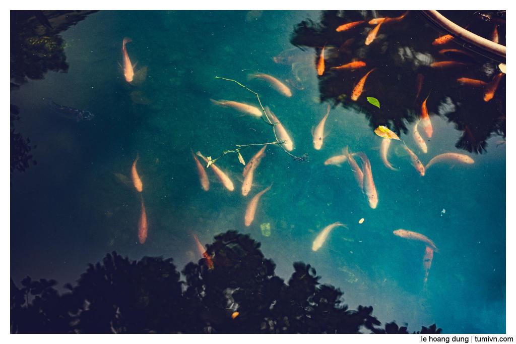 Proactive vs. Reactive