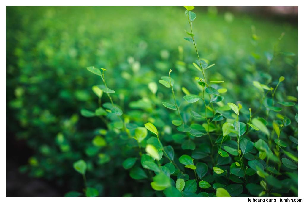 Ngay tại đây, ở giờ phút&nbsp;này