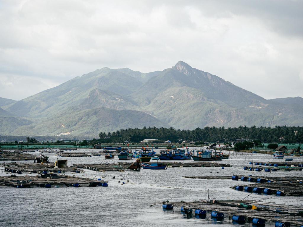 Tôi thích lái xe về quê ăn&nbsp;Tết